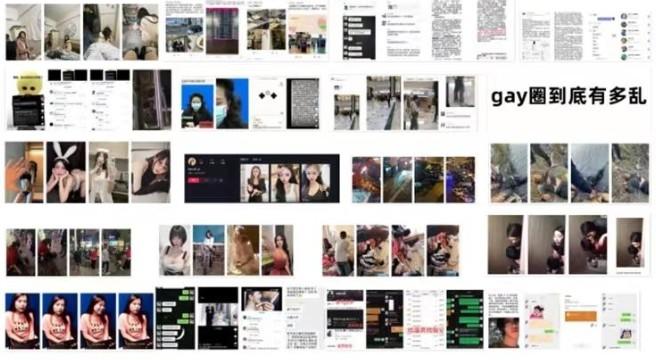 想吃瓜来组织-吃遍天下瓜-各种抖音热瓜都有